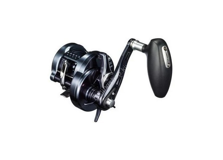 SHIMANO 19 Ocea Conquest Limited 301PG Reels buy at Fishingshop.kiwi