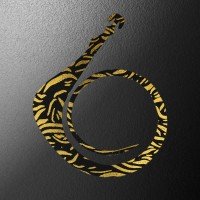 MATSUOKA SPECIAL Giga Mugen Pro 380mm #Black Gold Tiger