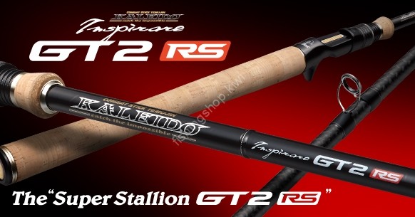 EVERGREEN Kaleido Inspirare Super Stallion GT2RS-C71MH GT2RS