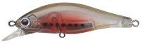 ANGLERS REPUBLIC Palms Alexandra 43HW #C-268 Ammosites