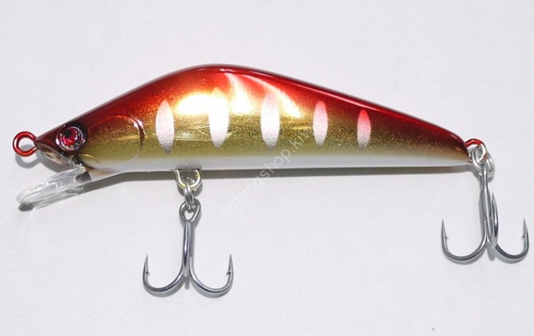 SHIN Crudo 55SSF SR #02 Akakin Yamame