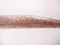 GAEA Silicon Skirt (Band) #23 Cinnamon Green