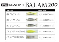 MADNESS Balam 200mm 46g #04 GM Chart