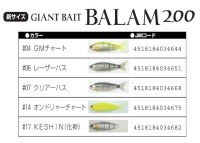 MADNESS Balam 200mm 46g #04 GM Chart