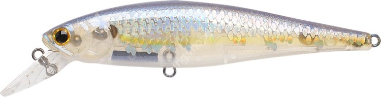 LUCKY CRAFT Pointer 100SP #MS Ghost Chart Shad