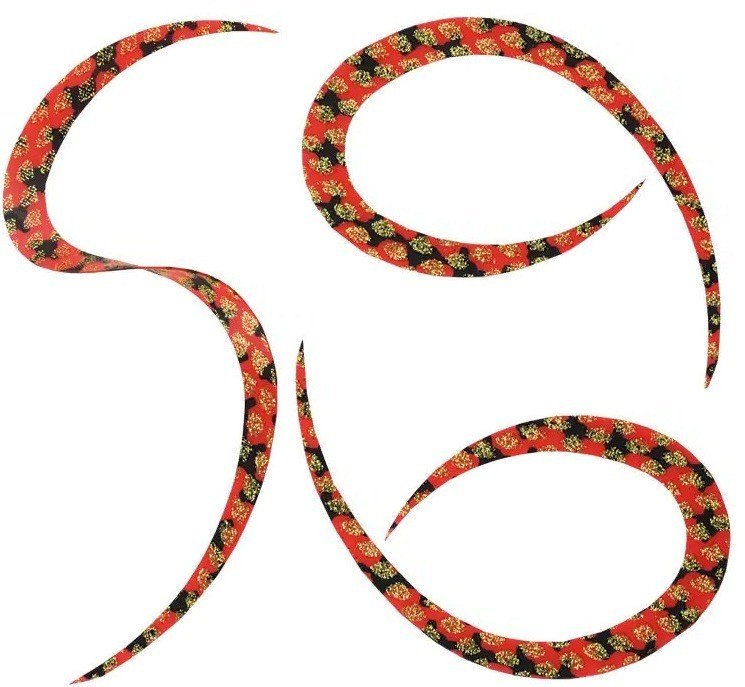 START KN-23 Silicone Necktie Curly #23 Red Zebra