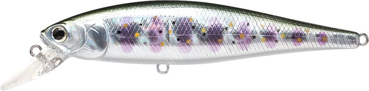 LUCKY CRAFT Pointer 100SP #JP Brook Trout - Yamame