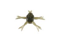 JACKALL Jimmy Henge Micro #Green Pan Goby (5pcs)