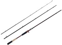 FISHMAN Beams Inte 9.8L FB-98L