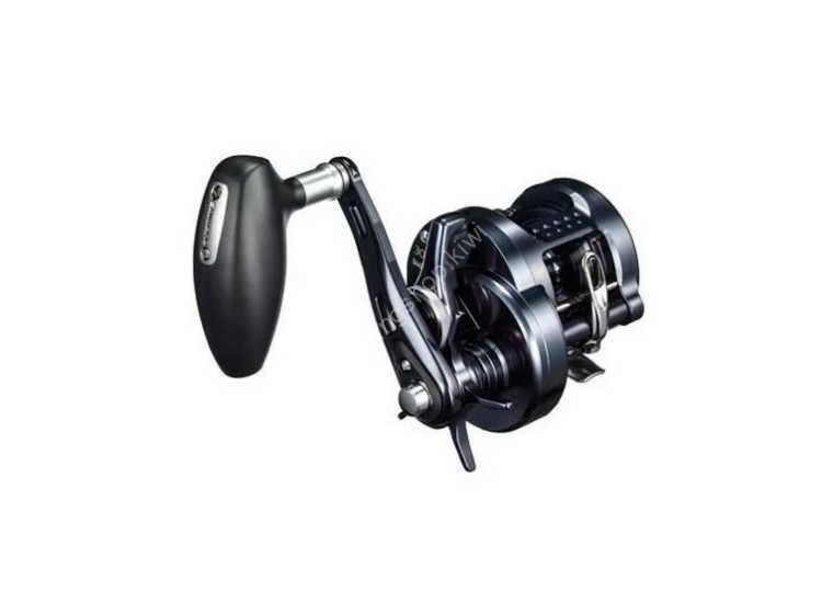 SHIMANO 19 Ocea Conquest Limited 400HG