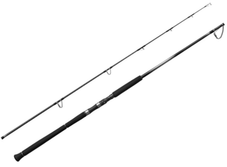 SHIMANO 25 Ocea Plugger Limited S710H