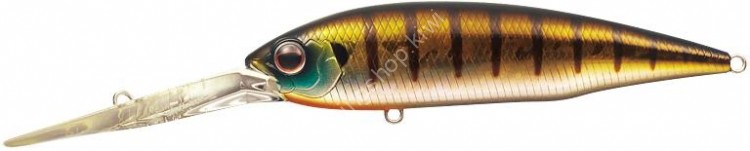 EVERGREEN Gold Digger 600 # 50 Baby Gill