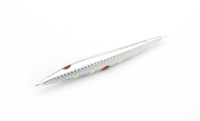 RISE JAPAN Rise Jig SLJ 80g #RJ07 Zebra Glow