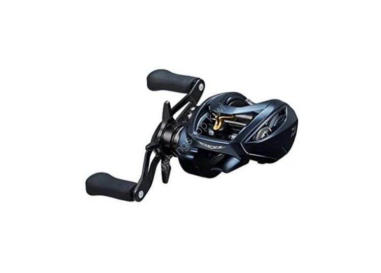 DAIWA Steez A II TW 1000H