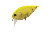DAYSPROUT Fat ChatteCra MR #PP-06 PP Mustard