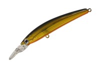 SMITH DD Panish Area 65F #11 Kurokin