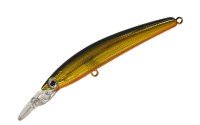 SMITH DD Panish Area 65F #11 Kurokin