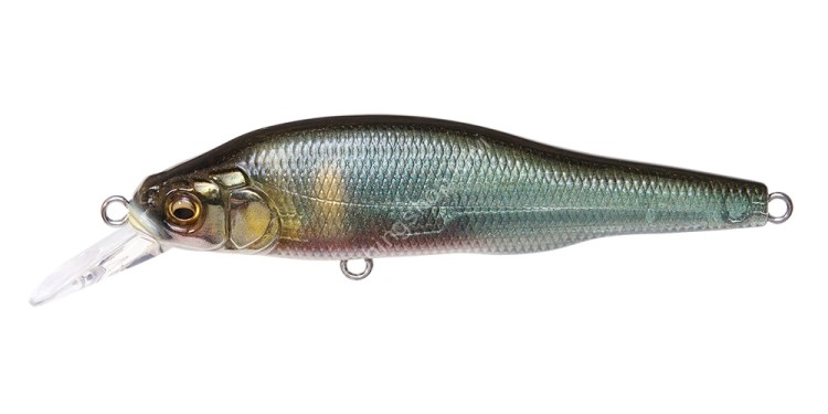 MEGABASS X-80 Trick Darter #FA Kisyu Ayu