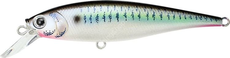 LUCKY CRAFT Pointer 78SP #Live Threadfin Shad