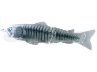 DEPS new Slide Swimmer 250SS #19 X-Ray