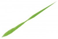 PAZDESIGN reed Benishizuku Spare Necktie H #004 Chart Spark