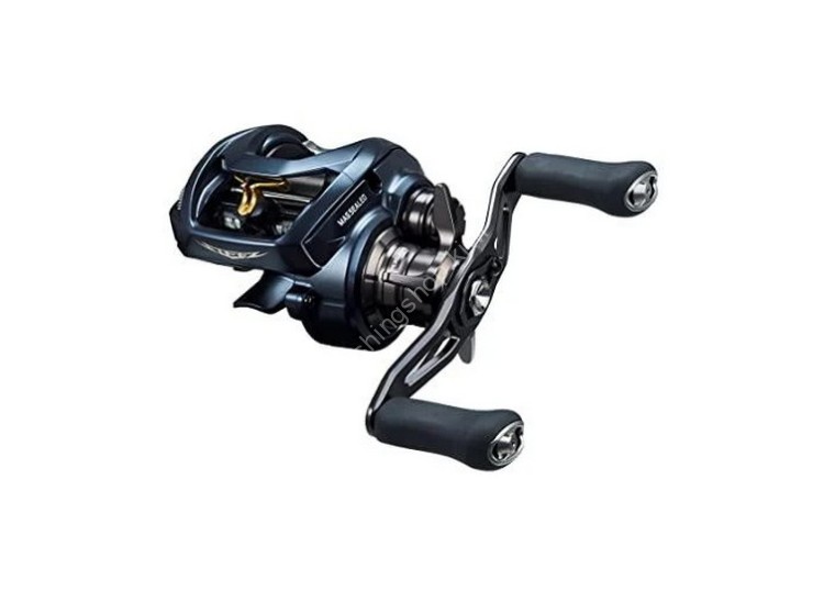DAIWA Steez A II TW 1000HL