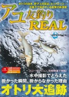 BOOKS & VIDEO Surface DVD Ayu Tomo Fishing REAL