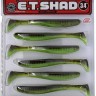 BAIT BREATH Egg Tail Shad 3.4 #931 Green Pumpkin / Chart