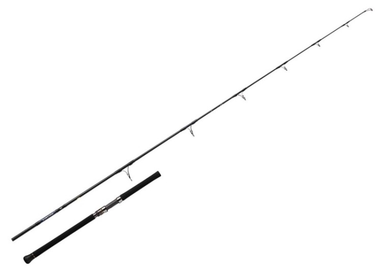 DAIWA Saltiga C 73-12