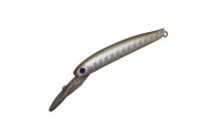 DAYSPROUT Eagle Player 40Slim/GJ #EGJ-08 Braunhauser