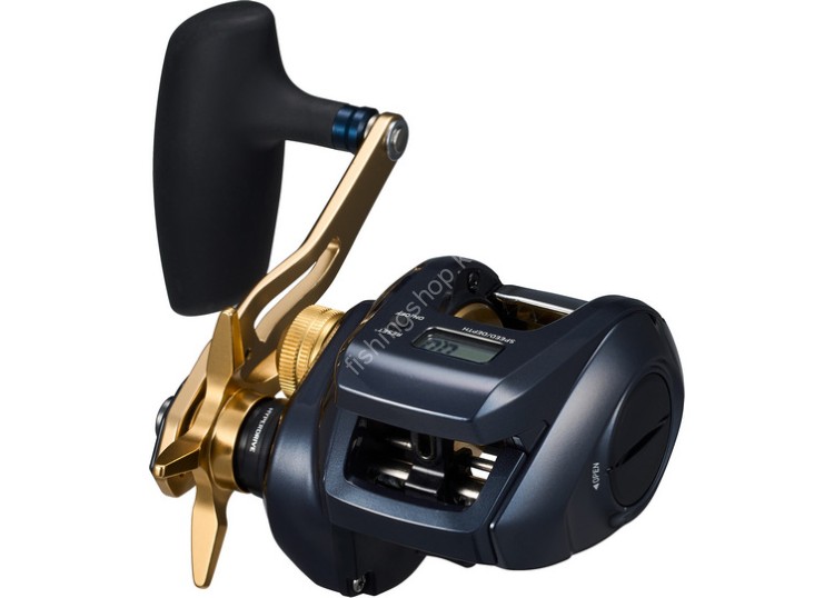 DAIWA Tierra LJ IC 300H