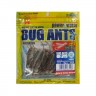 ECOGEAR Bug Ants 2 245 Firefly Squid Luminous