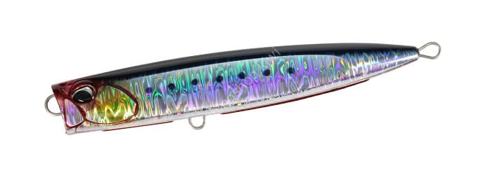 DUO Rough Trail Bubbly 185F CPB0054 Genkai Sardine