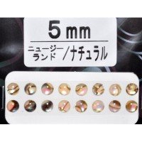 AWABI HONPO Abalone Eyeball New Zealand 5mm Natural