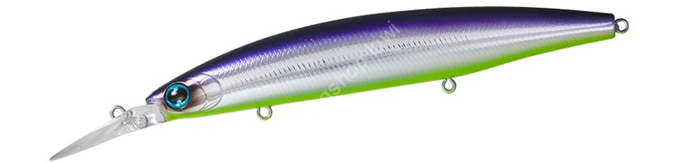DAIWA Shore Line Shiner Z Set Upper 125S-DR Rattle-in #Katakuchi Chart Belly
