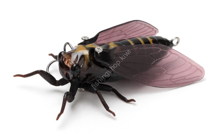 JACKSON Namazemi # NNZ Kempfer Cicada