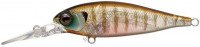 EVERGREEN Bank Shad MID # 246 Juvenile Gill