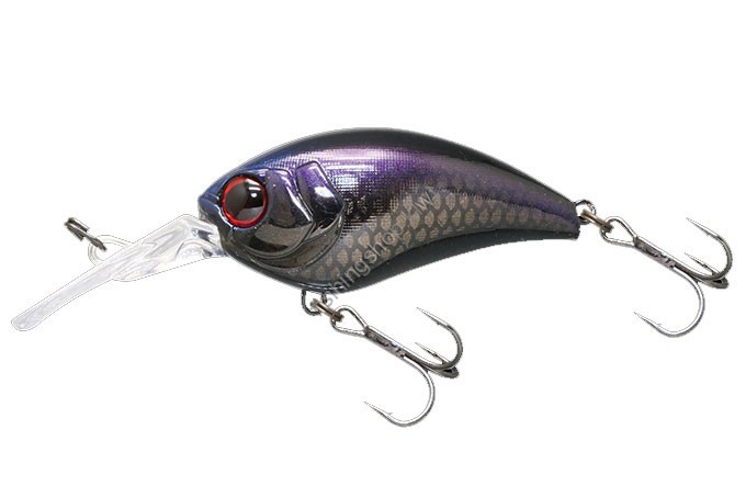 JACKALL Mush Bob 50MR SCALE (UROKO) HOLO SILHOUETTE BLACK