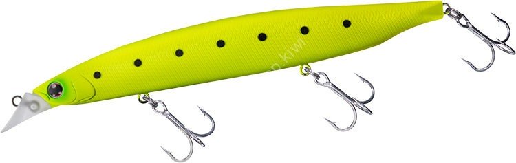 DAIWA Shore Line Shiner Z Vertice R 140F #Matte Chart Iwashi