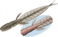 EVERGREEN C-4 Leech 3.1 #18 Secret Smoke