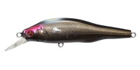 MEGABASS X-80 Trick Darter #MG Secret Shadow