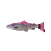 SAVAGE GEAR 3D LT Trout 12'' SS #PKBBR Pink Back Bora