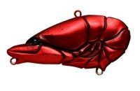 ISSEI G.C. Zari Vib Jr.57 #19 American Crayfish