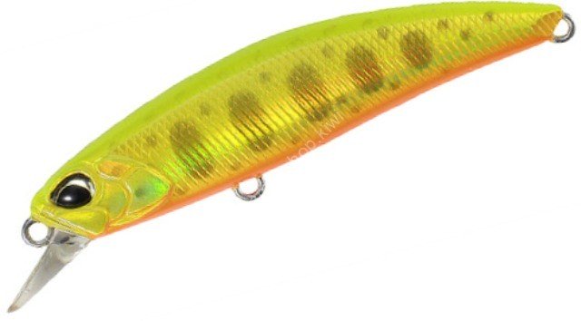 DUO Spearhead Ryuki 60S #ANA4056 Gold Yamame