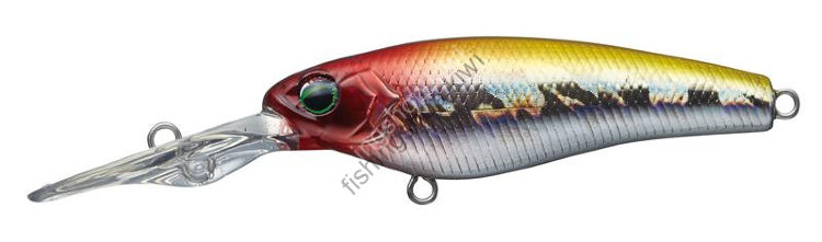 EVERGREEN Gran Searcher 55 # 125 Crown