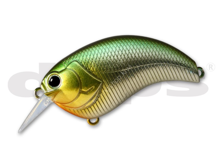 DEPS Evoke 1.8 #01 Ketabass