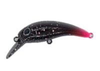 MUKAI Zanmu Ido (F) #Salmon Freak