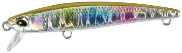 DUO Tetra Works Toto Slim 50S #CPA0608 Gold Rainbow