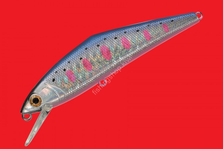 SMITH D-Contact 85 # 36 Blue Yamame