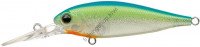 EVERGREEN Bank Shad MID # 248 Blue Chart Dazzler